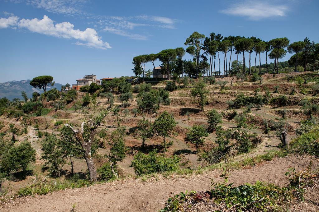 Agriturismo La Molara Sessa Aurunca Ngoại thất bức ảnh