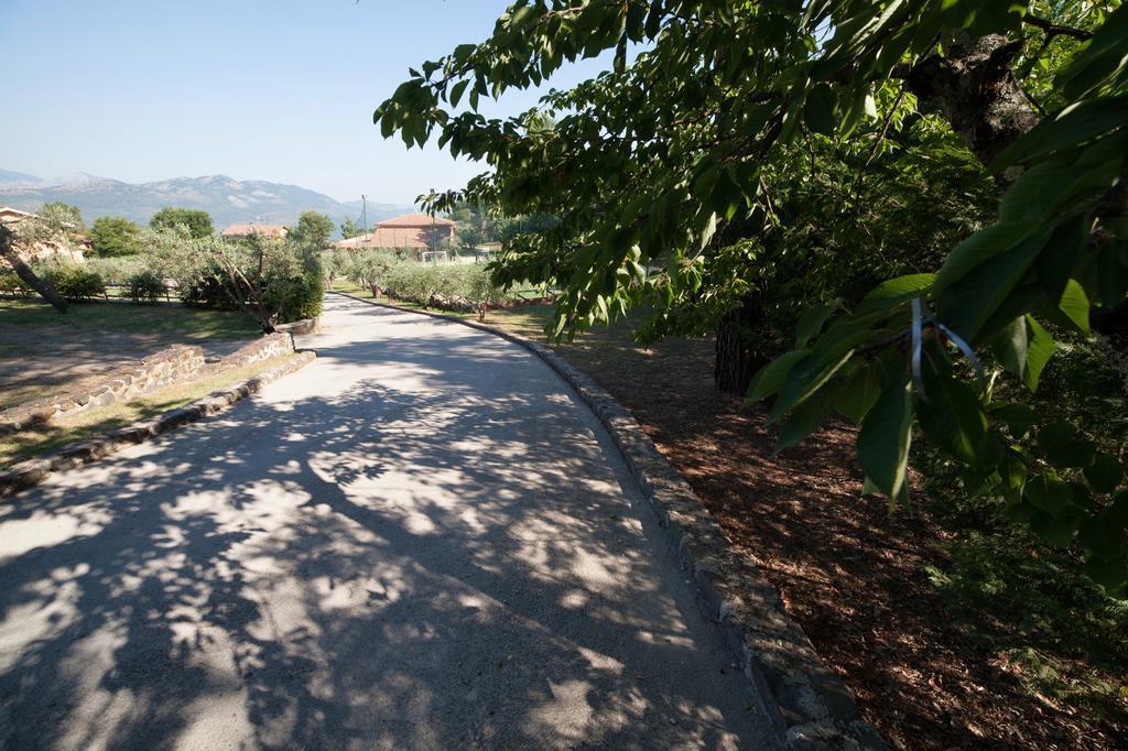 Agriturismo La Molara Sessa Aurunca Ngoại thất bức ảnh